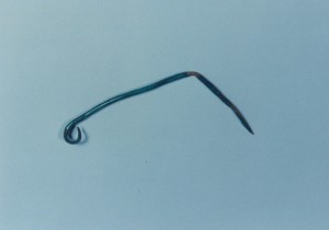The bronze pin (photo by Muzeum Těšínska)